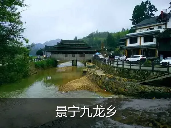 景宁九龙乡