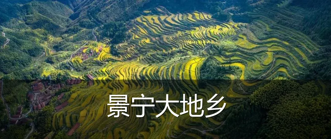 景宁大地乡