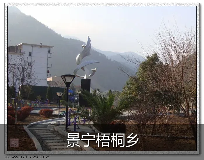 景宁梧桐乡