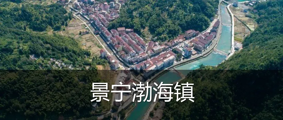 景宁渤海镇