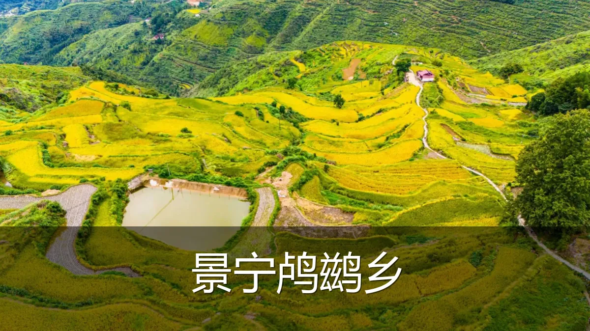 景宁鸬鹚乡